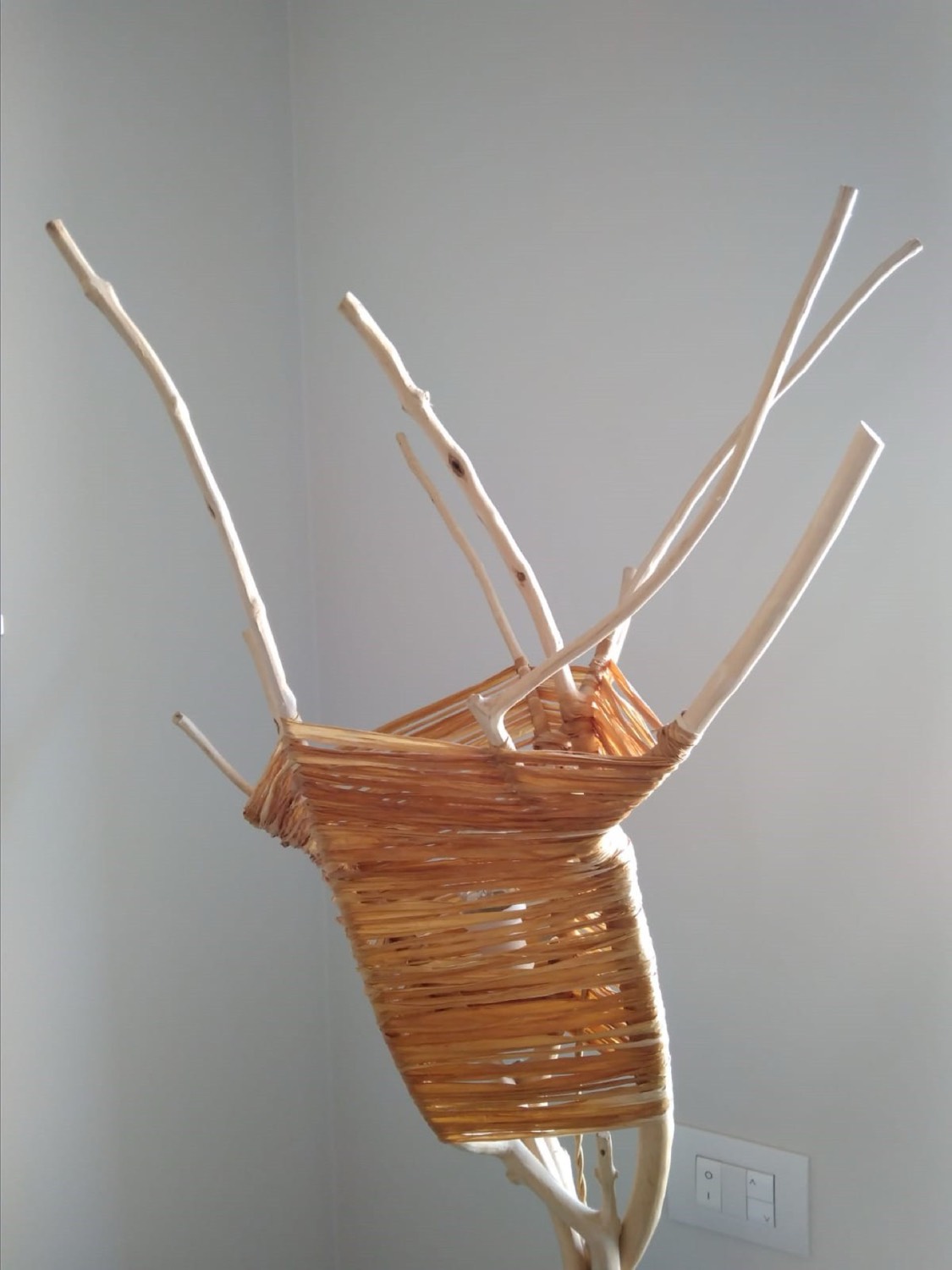 Piantana 2